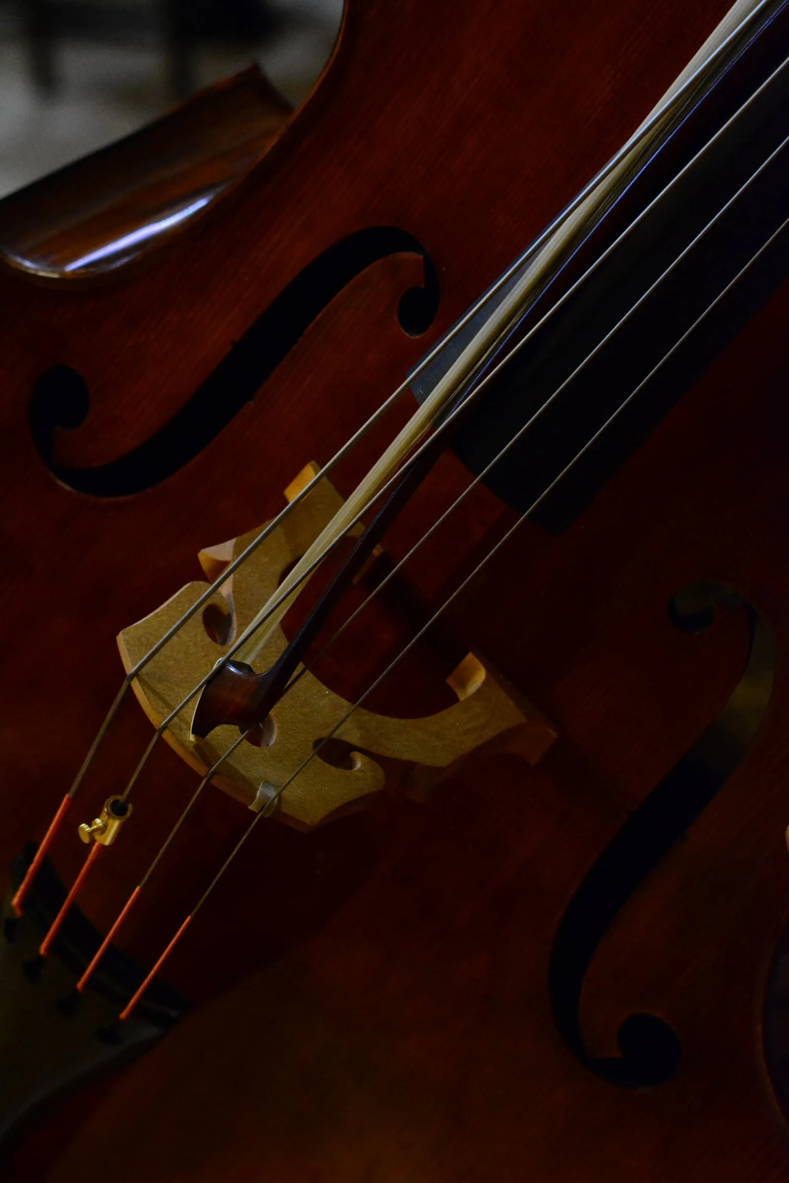 Schnecke und Saiten eines Violoncellos